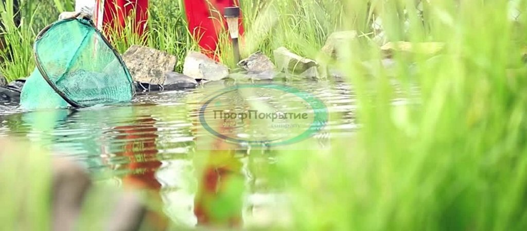 Уход за искусственным прудом по сезонам